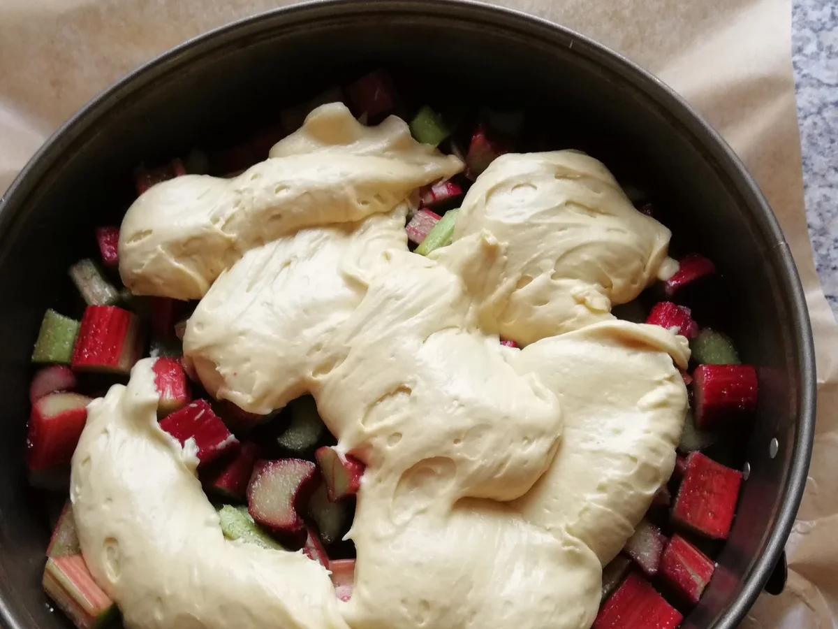 Rhabarberkuchen - Rezept - Bild Nr. 5846