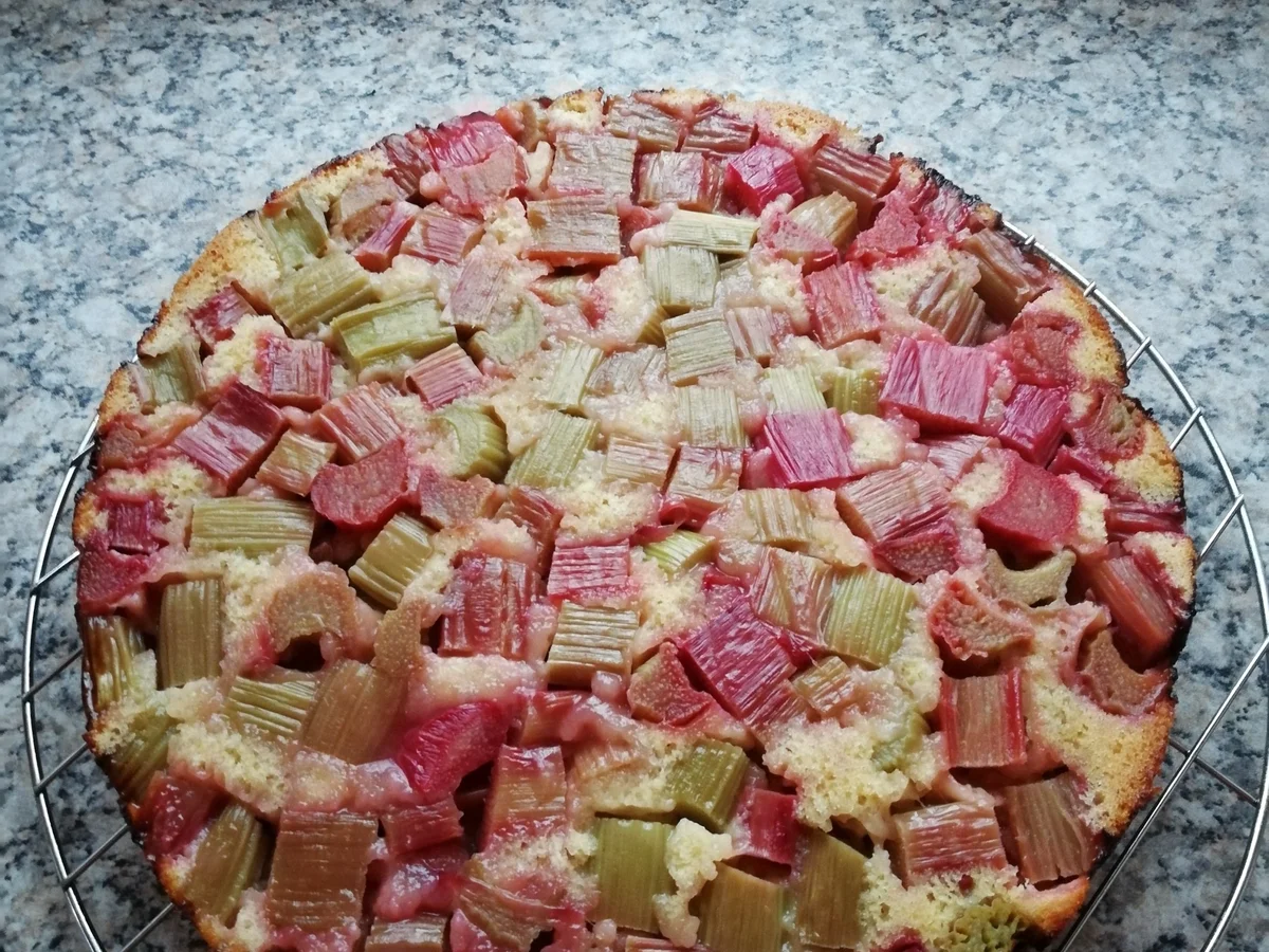 Rhabarberkuchen - Rezept - Bild Nr. 5848