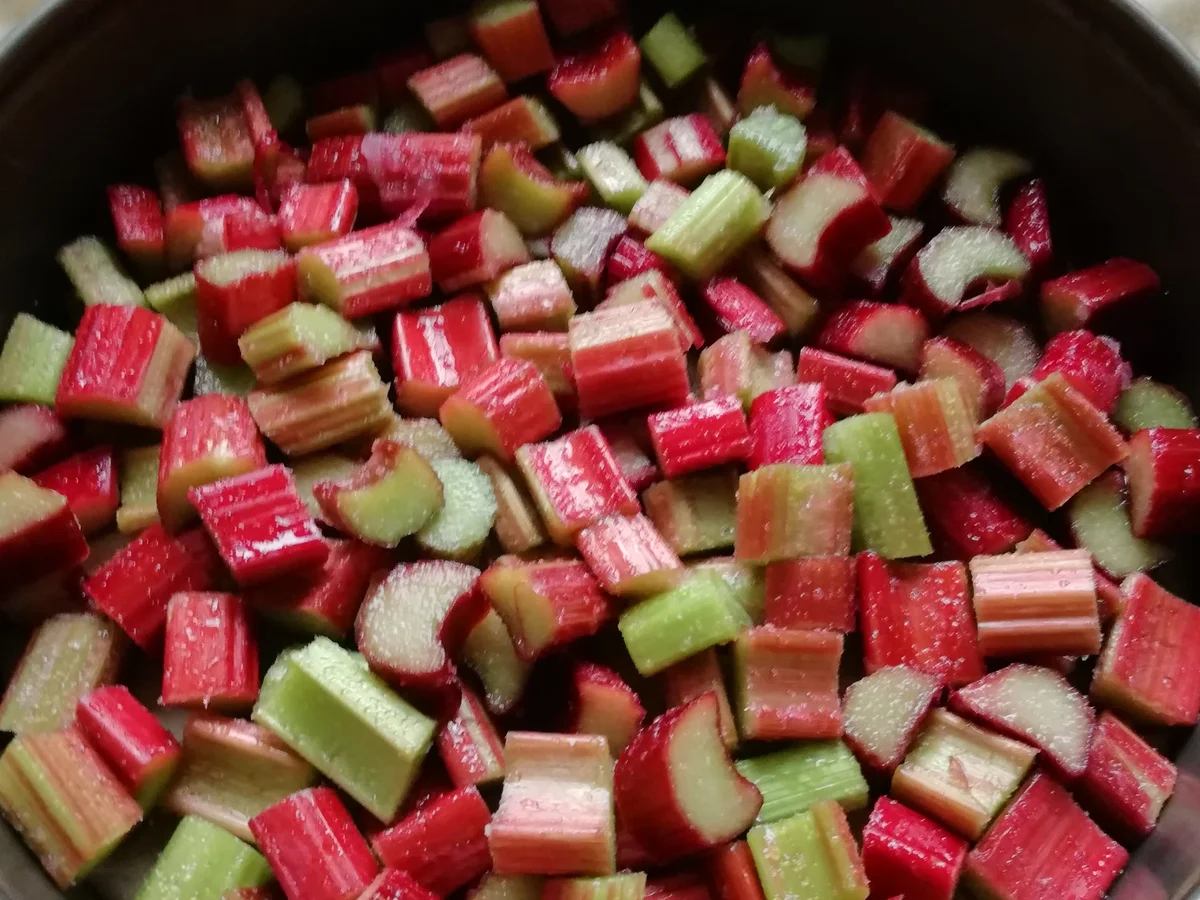 Rhabarberkuchen - Rezept - Bild Nr. 5845