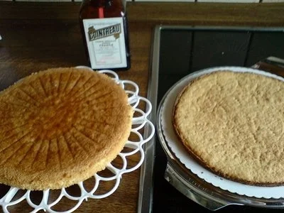 Rezept: Kuchen - Sahne-Nuß Torte Bild Nr. 2 Kuchen - Sahne-Nuß Torte - Rezept - Bild Nr. 2