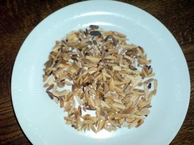 Rezept: Kuchen - Sahne-Nuß Torte Bild Nr. 5 Kuchen - Sahne-Nuß Torte - Rezept - Bild Nr. 5