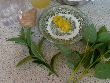 Rezept: Ingwer-Zitronen-Sirup Bild Nr. 2 Ingwer-Zitronen-Sirup - Rezept - Bild Nr. 2