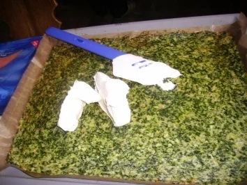 Spinat-Lachsrolle - Rezept - Bild Nr. 2