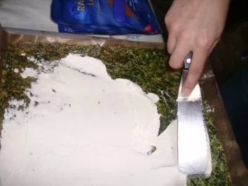 Spinat-Lachsrolle - Rezept - Bild Nr. 3