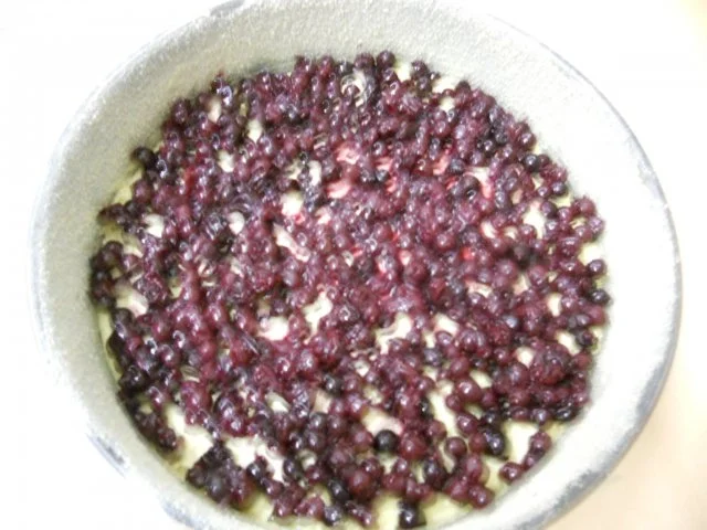 Rezept: KUCHEN - Johannisbeer-Baiser-Kuchen Bild Nr. 5 KUCHEN - Johannisbeer-Baiser-Kuchen - Rezept - Bild Nr. 5