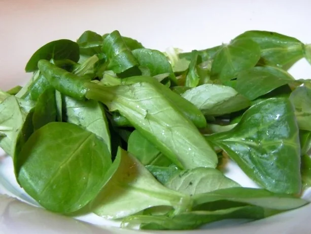 Rezept: Fruchtiger Salat mit Geflügelleber und knusprigem Knoblauch-Baguette Bild Nr. 6 Fruchtiger Salat mit Geflügelleber und knusprigem Knoblauch-Baguette - Rezept - Bild Nr. 6