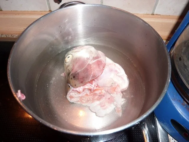 Fisch: Lachsforellensteak gebraten - Rezept - Bild Nr. 4