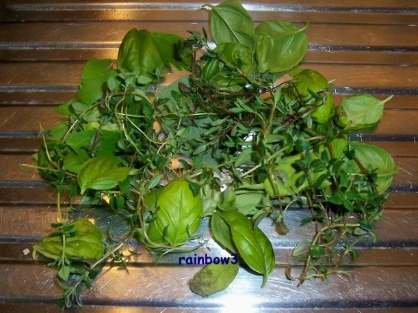 Gewürz: Kräuterpaste für Tomatensauce - Rezept - Bild Nr. 2