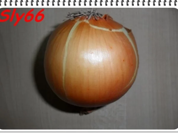 Soßen:Bolognesesoße mit Pep - Rezept - Bild Nr. 7