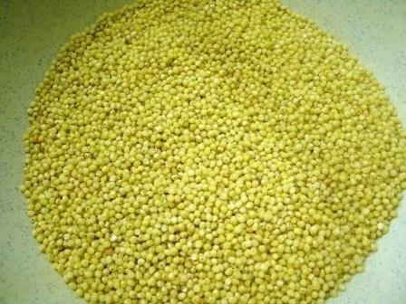 Rezept: Lecker würzige Hirsepuffer- Hirseplinsen mit Zitronenthymian Bild Nr. 3 Lecker würzige Hirsepuffer- Hirseplinsen mit Zitronenthymian - Rezept - Bild Nr. 3