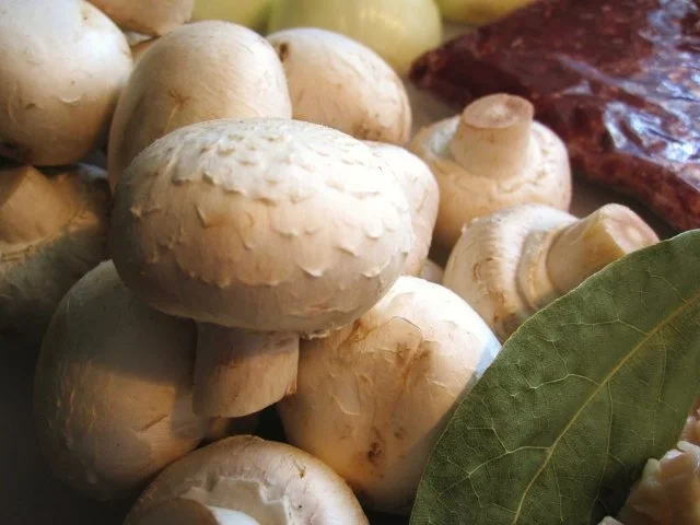 Wild - Hackfleischsoße ... - Rezept - Bild Nr. 2