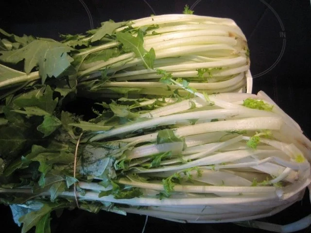 Stielmus - Rezept - Bild Nr. 2