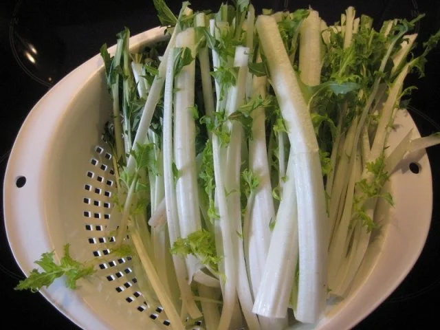 Stielmus - Rezept - Bild Nr. 3