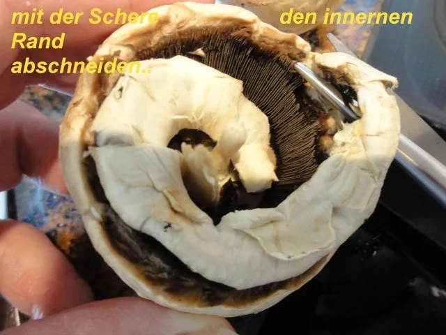 Rezept: Gemüse: CHAMPIGNON gefüllt mit Hack Bild Nr. 2 Gemüse: CHAMPIGNON gefüllt mit Hack - Rezept - Bild Nr. 2