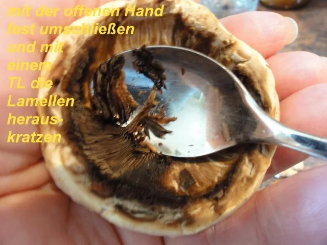 Rezept: Gemüse: CHAMPIGNON gefüllt mit Hack Bild Nr. 3 Gemüse: CHAMPIGNON gefüllt mit Hack - Rezept - Bild Nr. 3