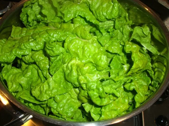 Rezept: ~ Gemüsebeilage ~ Mangold in Erdnußsahne Bild Nr. 3 ~ Gemüsebeilage ~ Mangold in Erdnußsahne - Rezept - Bild Nr. 3