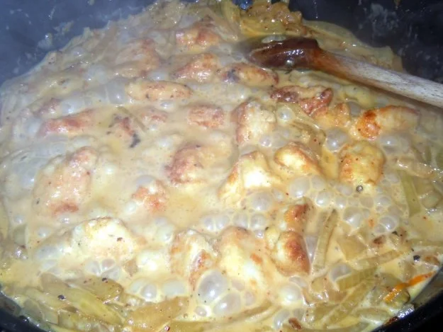 Rezept: Hähnchen-Fenchel-Orangen-Pfanne Bild Nr. 8 Hähnchen-Fenchel-Orangen-Pfanne - Rezept - Bild Nr. 8