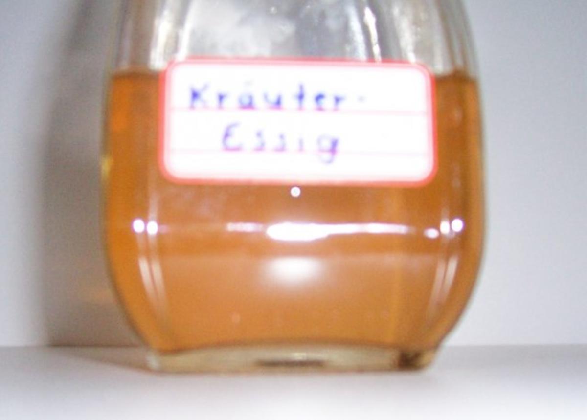 Gewürz: Kräuter-Essig - Rezept - Bild Nr. 4