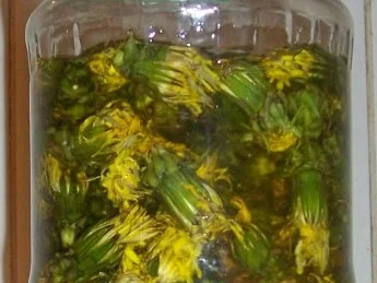 Gewürz: Ich hab den Frühling eingefangen :-) - Rezept - Bild Nr. 3