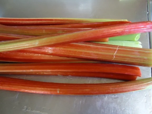 Rhabarber - Strudel - Rezept - Bild Nr. 3