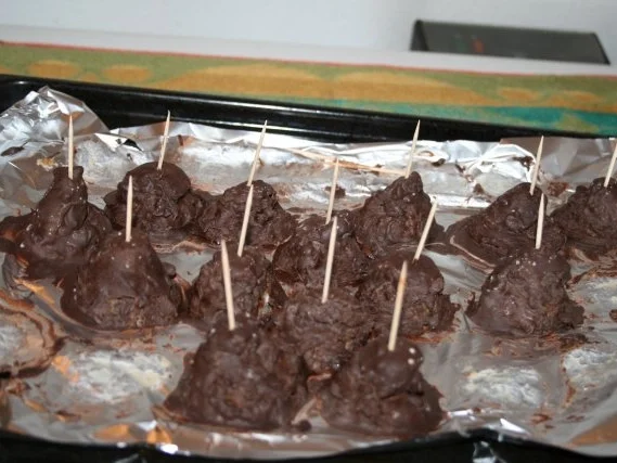 Rezept: Milchreis Pralinen mit Früchten Bild Nr. 2 Milchreis Pralinen mit Früchten - Rezept - Bild Nr. 2