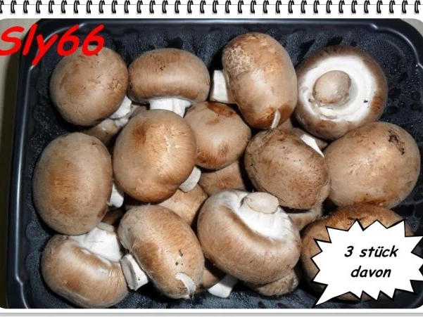 Pizza Tonno-Funghi - Rezept - Bild Nr. 7