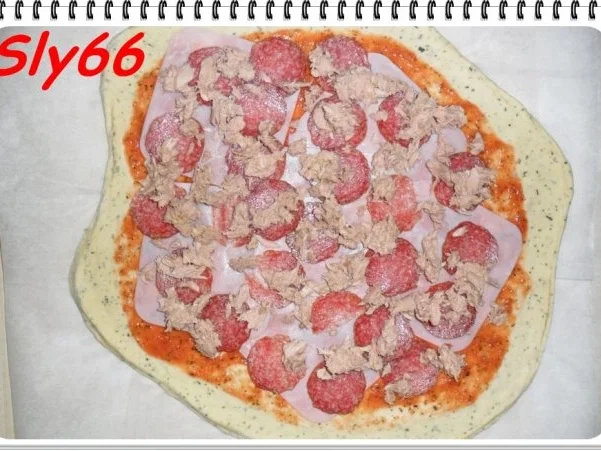 Pizza Tonno-Funghi - Rezept - Bild Nr. 15