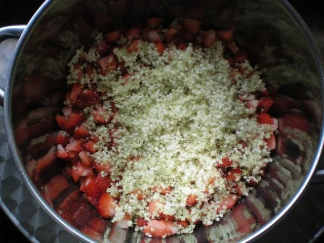 Meine Erdbeer-Holunderblüten-Marmelade - Rezept - Bild Nr. 5