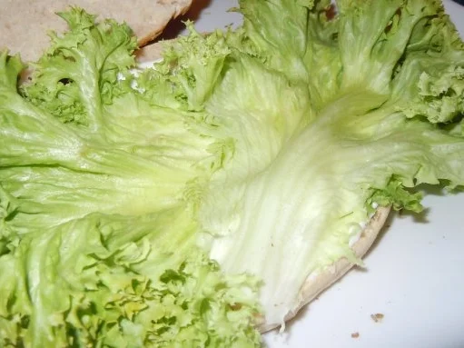 Hähnchen-Burger - Rezept - Bild Nr. 5