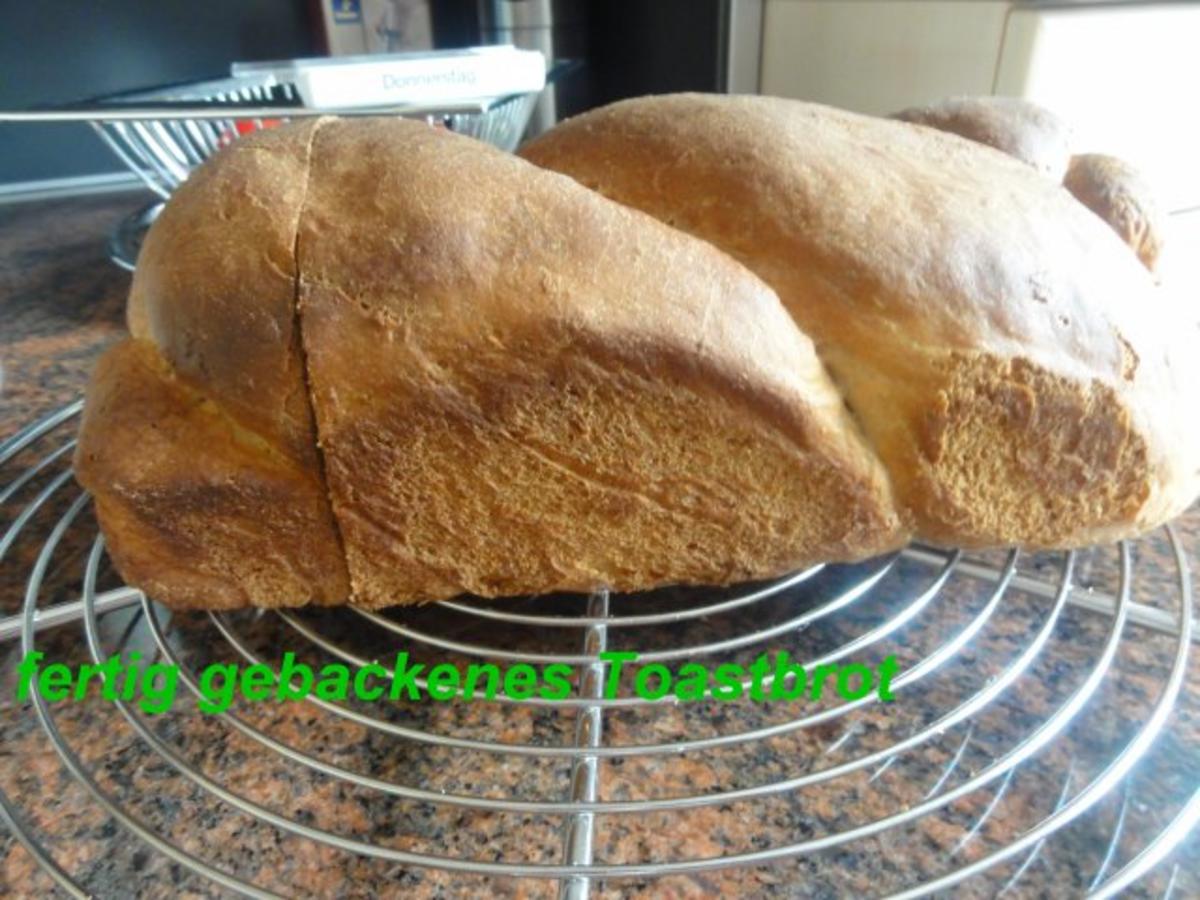 Brot:  TOAST / SANDWICHVOLLKORN - Rezept - Bild Nr. 6