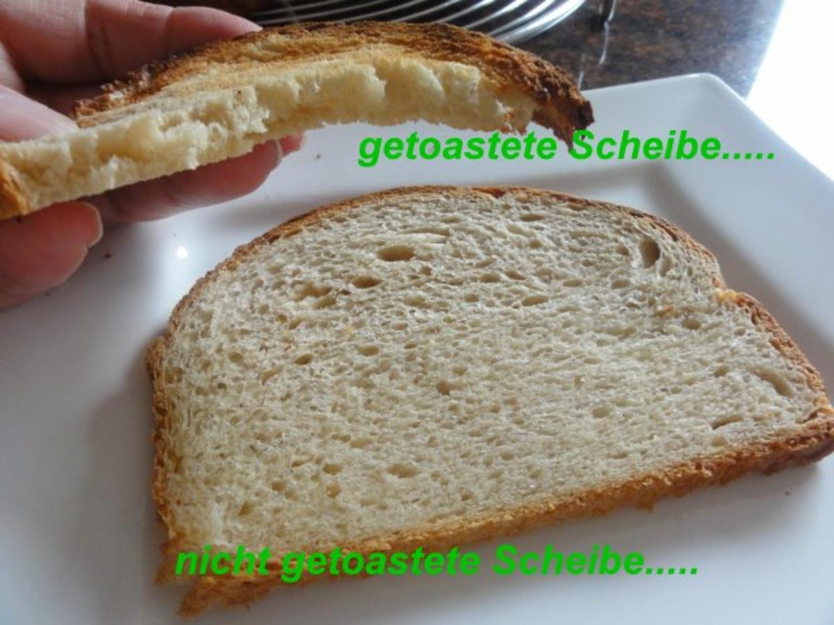 Brot:  TOAST / SANDWICHVOLLKORN - Rezept - Bild Nr. 7
