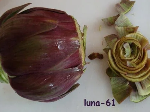 TAGLIATELLE AI CARCIOFI - Tagliatelle mit Artischockensauce - Rezept - Bild Nr. 8