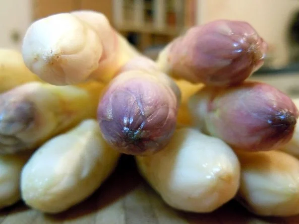 Thymian-Spargel mit Limetten-Honig-Ingwer-Sauce - Rezept - Bild Nr. 2