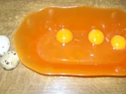 INFO über Wachteleier warum so gut !!! Plus ein Rezept dazu - Rezept