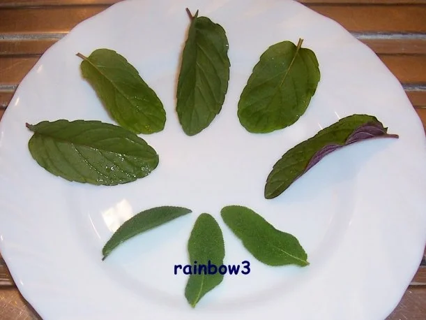 Likör: Magenbitter ~ Kräuterlikör - Rezept