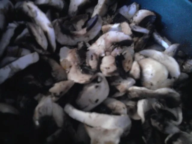 Hähnchenbrustfilet mit Champignon-Weisswein-Sosse - Rezept - Bild Nr. 5