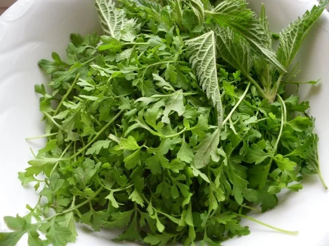 Gartenkressesuppe - Rezept - Bild Nr. 2