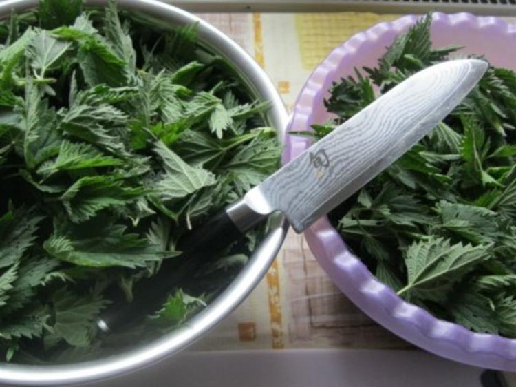 Pesto Grundrezept, Beispiel Brennnesselpesto - einfach - von Test00