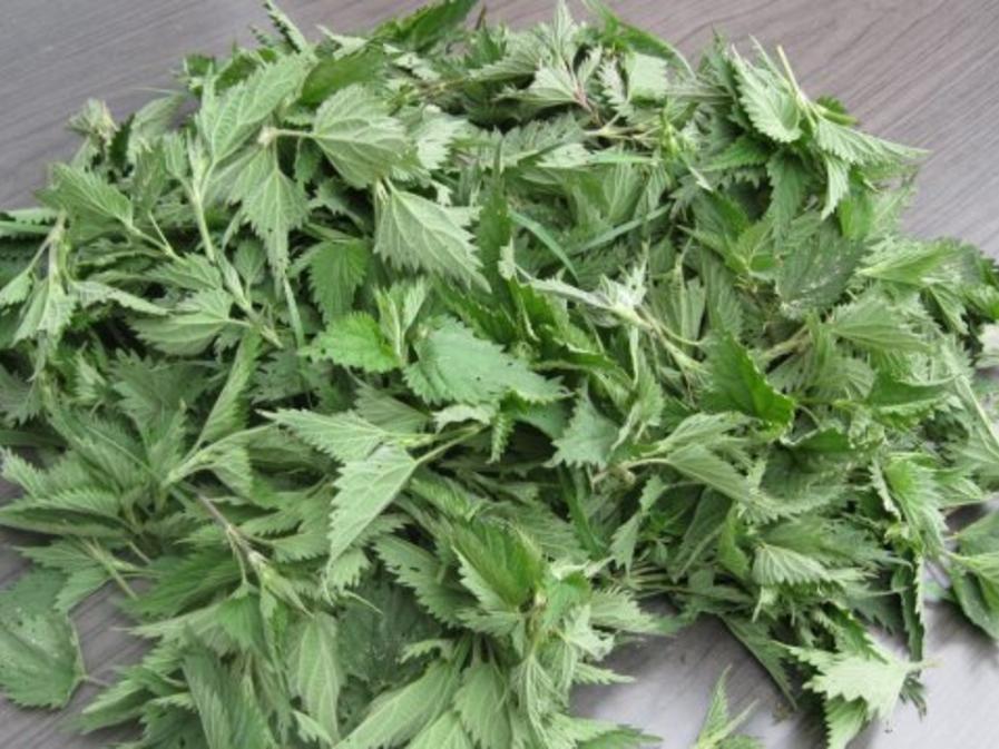Pesto Grundrezept, Beispiel Brennnesselpesto - einfach - von Test00