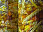 Kiefernspitzen in Honig - Rezept