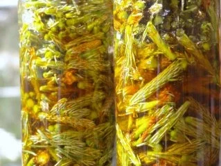 Kiefernspitzen in Honig - Rezept - Bild Nr. 7