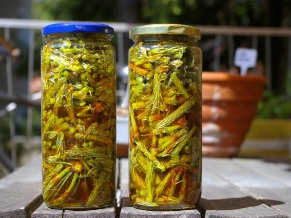 Kiefernspitzen in Honig - Rezept - Bild Nr. 8