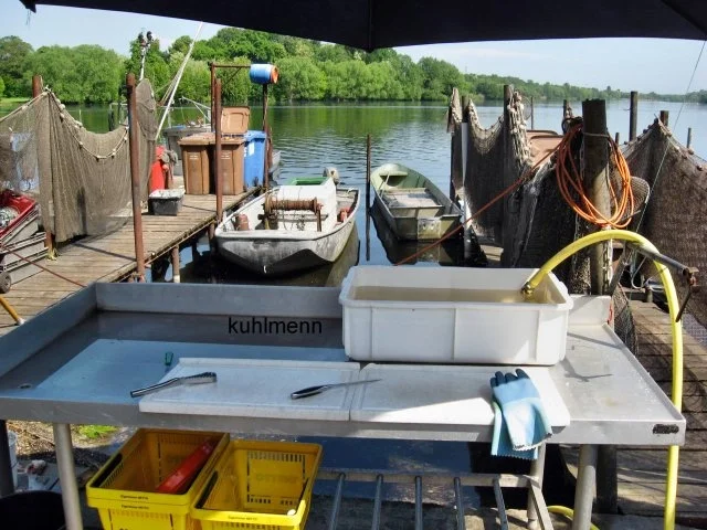 Rezept: Klare Fischsuppe vom Havel-Zander Bild Nr. 2 Klare Fischsuppe vom Havel-Zander - Rezept - Bild Nr. 2