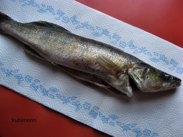 Rezept: Klare Fischsuppe vom Havel-Zander Bild Nr. 4 Klare Fischsuppe vom Havel-Zander - Rezept - Bild Nr. 4