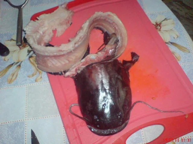 Rezept: FISCH:..... ~~ Welsfilets ~~ Bild Nr. 2 FISCH:..... ~~ Welsfilets ~~ - Rezept - Bild Nr. 2