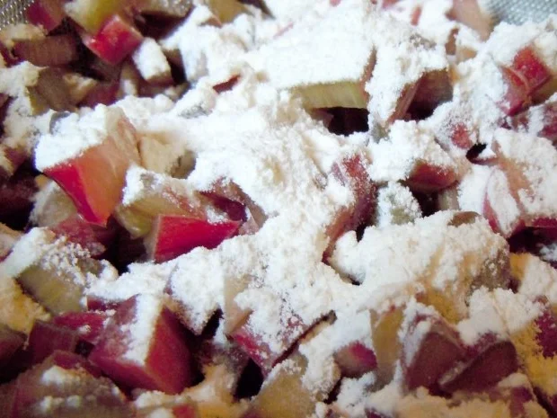 Rhabarber-Törtchen - Rezept - Bild Nr. 5