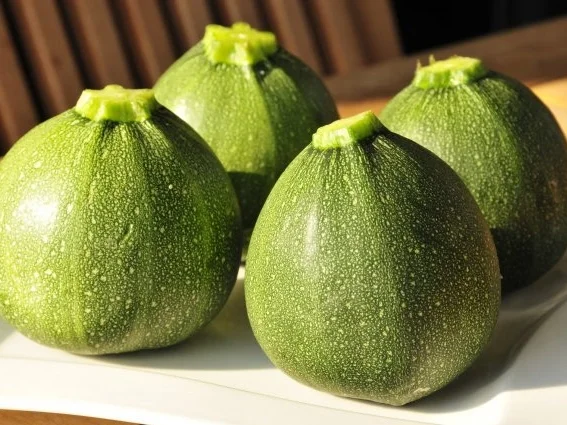 gefüllte Zucchini - Rezept - Bild Nr. 2