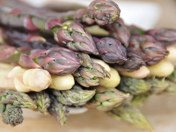 Spargelsalat tricolore, lauwarm - Rezept - Bild Nr. 2