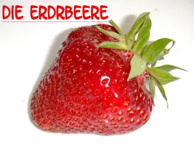 Rezept: Erdbeer - Dessert Bild Nr. 2 Erdbeer - Dessert - Rezept - Bild Nr. 2