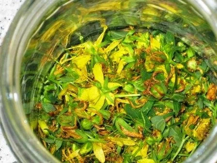 Johanniskrautöl- Rotöl - Rezept - Bild Nr. 3